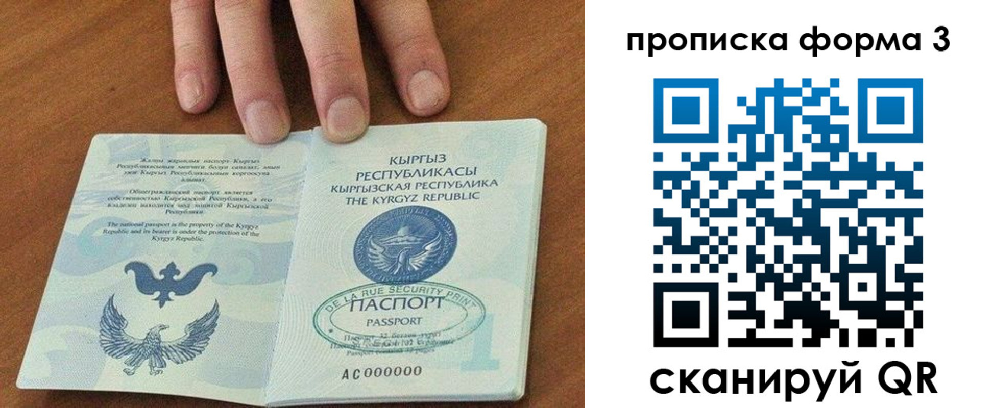 прописка 2025 в Мордовии
